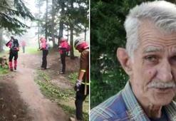 Uludağ'da şifalı ot toplarken kayboldu, 2 gündür aranıyor