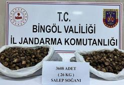 Bingöl’de kaçak salep soğanı toplayan 2 kişiye 488 bin 630 lira ceza