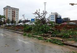 Otoparkın istinat duvarı çöktü, altında kalan ağaçlar yola devrildi