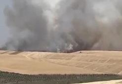 Diyarbakır'da 100 dönüm alanda ekili buğday yandı