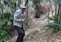 28 yılda çöplüğü ormana dönüştürdü gençlere 'Ağaç dikin' dedi