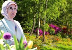 Emine Erdoğan: Yaşanabilir bir dünya bırakma imkanına halen sahibiz