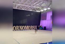 Rus saldırısında bacağını kaybetmişti, cimnastik yarışmasını kazandı