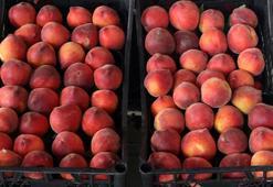 Halde kilosu 7 liraya satılan şeftali, market rafında 27 lira