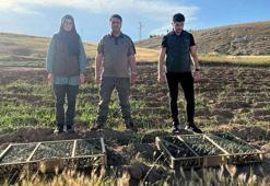 Sınır kapısında aracında 550 saka kuşu bulundu, 720 bin lira ceza uygulandı