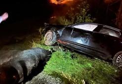 AK Parti'li Yenişehirlioğlu ve oğlu kazada yaralandı