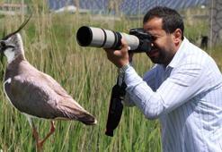 Nehil Sazlığı'ndaki yangın ve drenajlar kuş sayısını yüzde 50 azalttı