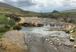 İnci kefalinin göç yolundaki en büyük çay kuruma noktasına geldi