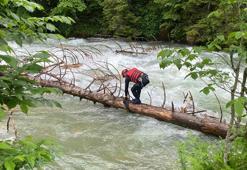 Ot toplamaya gittiği dere kenarında kayboldu