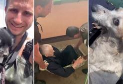 Ukraynalı boksör, sel bölgesinde hayvanları ve yaşlıları kurtarıyor