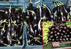 Halde kilosu 2 lira olan patlıcanın fiyatı semt pazarında 4’e, market rafında 9’a katladı