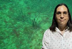 Çanakkale Boğazı'nda deniz çayırlarının azalması biyoçeşitliliği tehdit ediyor