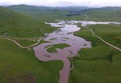 Ordu’da sağanakta menderesler taştı