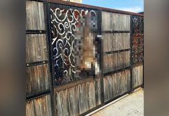 Manisa'da bağ evinin kapısına asılı ölü köpek bulundu