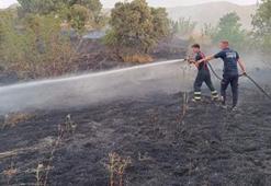 Siirt'te 65 dönüm ekili buğday tarlası yandı