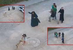 Köpek, ailesinin yanındaki çocuğa saldırdı; o anlar kamerada