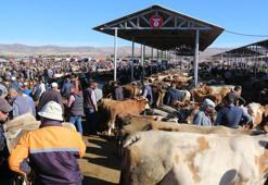 Şap karantinası nedeniyle Sivas'ta kurban pazarı açılmayacak