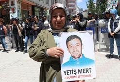 Van'da evlat eylemine katılan anneden, oğluna 'teslim ol' çağrısı