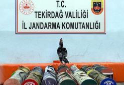 Çiftlikte horoz dövüştürenlere 20 bin lira ceza