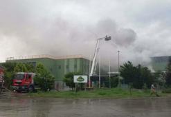 İzmir'de yıldırım düşen turşu fabrikasında yangın