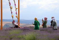 Tekirdağ’da mora bürünen lavanta tarlaları ziyaretçilere açıldı