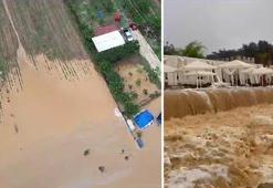 Edirne’de kuvvetli sağanak sele yol açtı