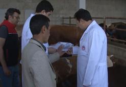 Ankara'da kurban pazarlarında denetleme