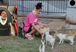 Pitbull beslediği kedilere saldırdı, tartıştığı sahibi burnunu kırdı