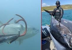 Çanakkale Boğazı'nda zıpkınla 110 kiloluk orkinos avladı
