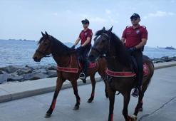 İstanbul'da sahillerde atlı polis denetimi
