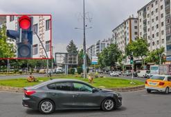 Tamir için kapağı açık bırakılan sarı trafik ışığına kumru yuva yaptı