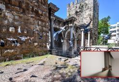 Kuşların yuva yaptığı evlerde, bit ve akar riski