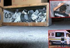 Kuş mezatı yapılan lokale silahlı saldırı: 1 ölü, 5 yaralı