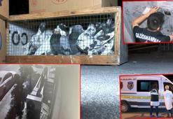 Gaziosmanpaşa'da kuş mezatı yapılan lokale silahlı baskın kamerada: 1 ölü, 5 yaralı