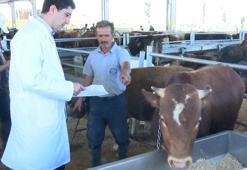 Kurbanlıklara çifte denetim