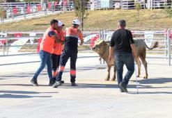 Ankara'da 'kurban yakalama timi' göreve hazır