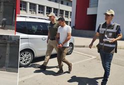 Koyunu bayıltana kadar döven, kasap çıktı