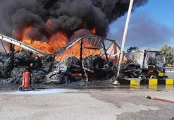 Bariyerlere çarpan TIR, alev alev yandı