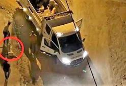 Bismil'de köpekleri sürükleyerek kamyonete yükleyen görevliler hakkında işlem