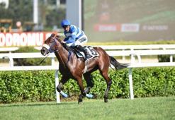 97. Gazi Koşusu'nu Mehmet Kaya'nın jokeyliğini yaptığı "Urfa Aslanı" kazandı