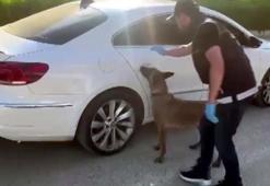 Meyve suyu kutularına gizlenmiş 4 kilo 630 gram uyuşturucuyu 'Hazal' buldu