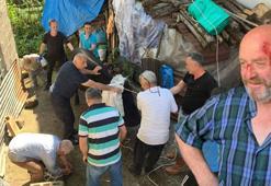 Kurbanlık boğa, kasabı yaraladı