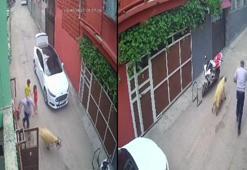 Adana'da 'Kurban Bayramı' manzaraları; kurbanlık koyun kaçtı