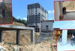 Pendik'te metruk binalarda korku saçanlara baskın