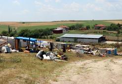Meslekleri zamana yenilen Romanlar, çadırlarda kalıp mevsimlik işçilik yapıyor