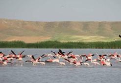 Yağışlarla birlikte Seyfe Gölü'nde doluluk oranı yüzde 80'e ulaştı