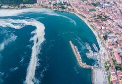 Prof. Dr. Sarı: Müsilaj bitmedi, alg çoğalmaları ekosistemin sinyal verdiğini gösteriyor