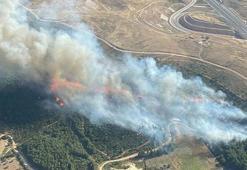 İzmir'de orman yangını