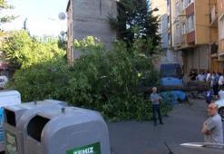 Esenler’de ceviz ağacı 2 otomobilin üzerine devrildi