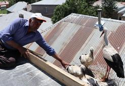 20 yıldır yuvalarını terk etmiyorlar